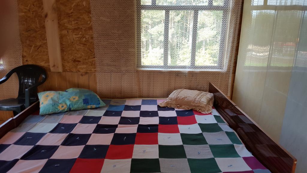 Priedisi Aglona Quarto foto